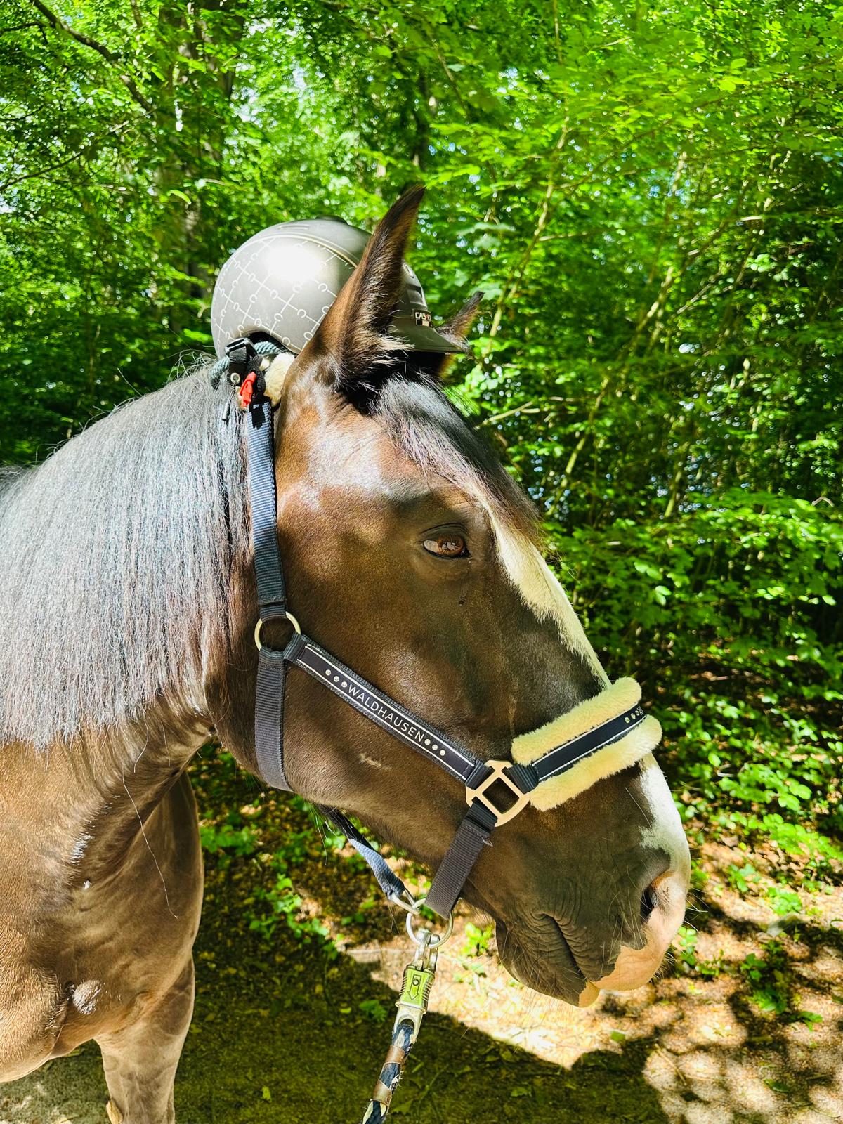 Kind mit Helm auf Catalano