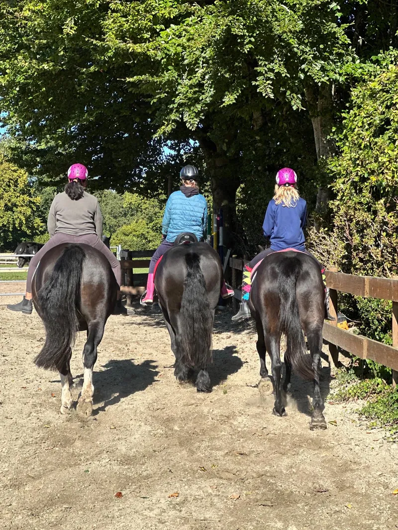 Drei Mädels reiten gemeinsam