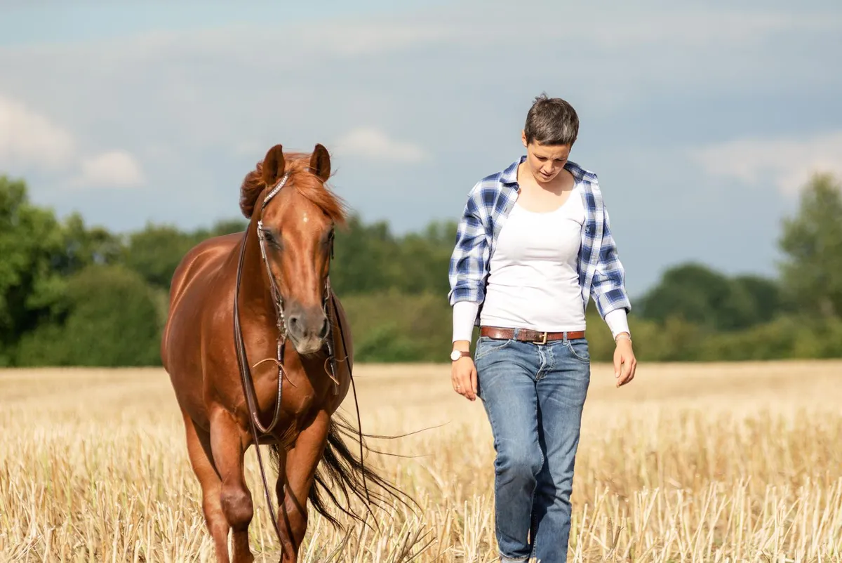 Holly - American Quarter Horse