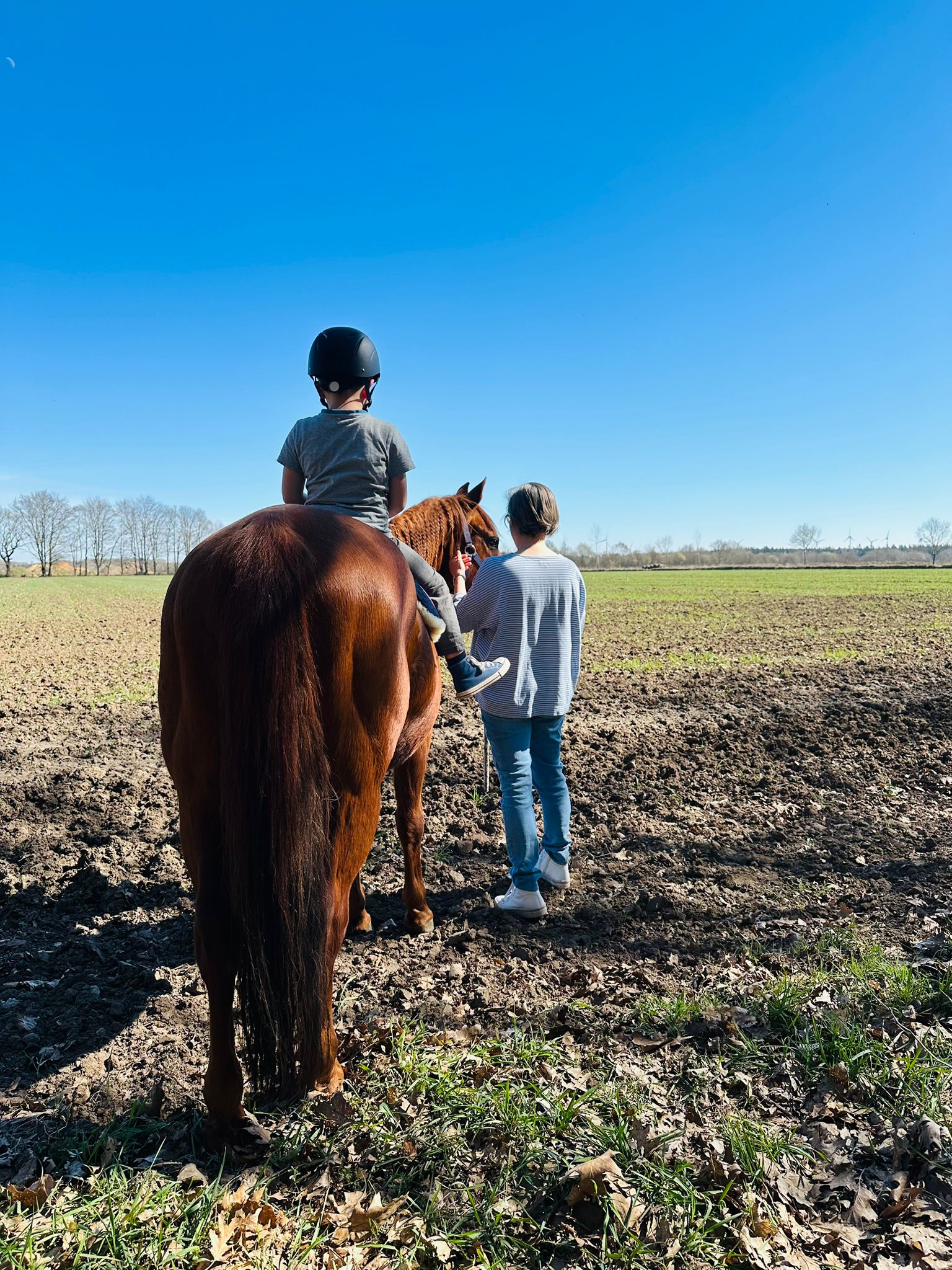 Holly als Wegbegleiter