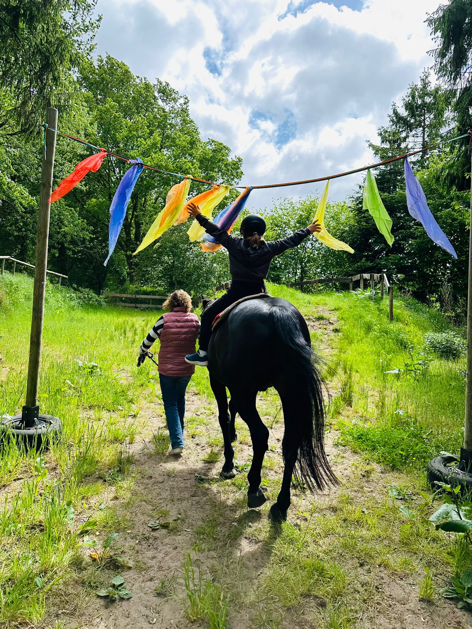 Gentleman auf der Hügelwiese