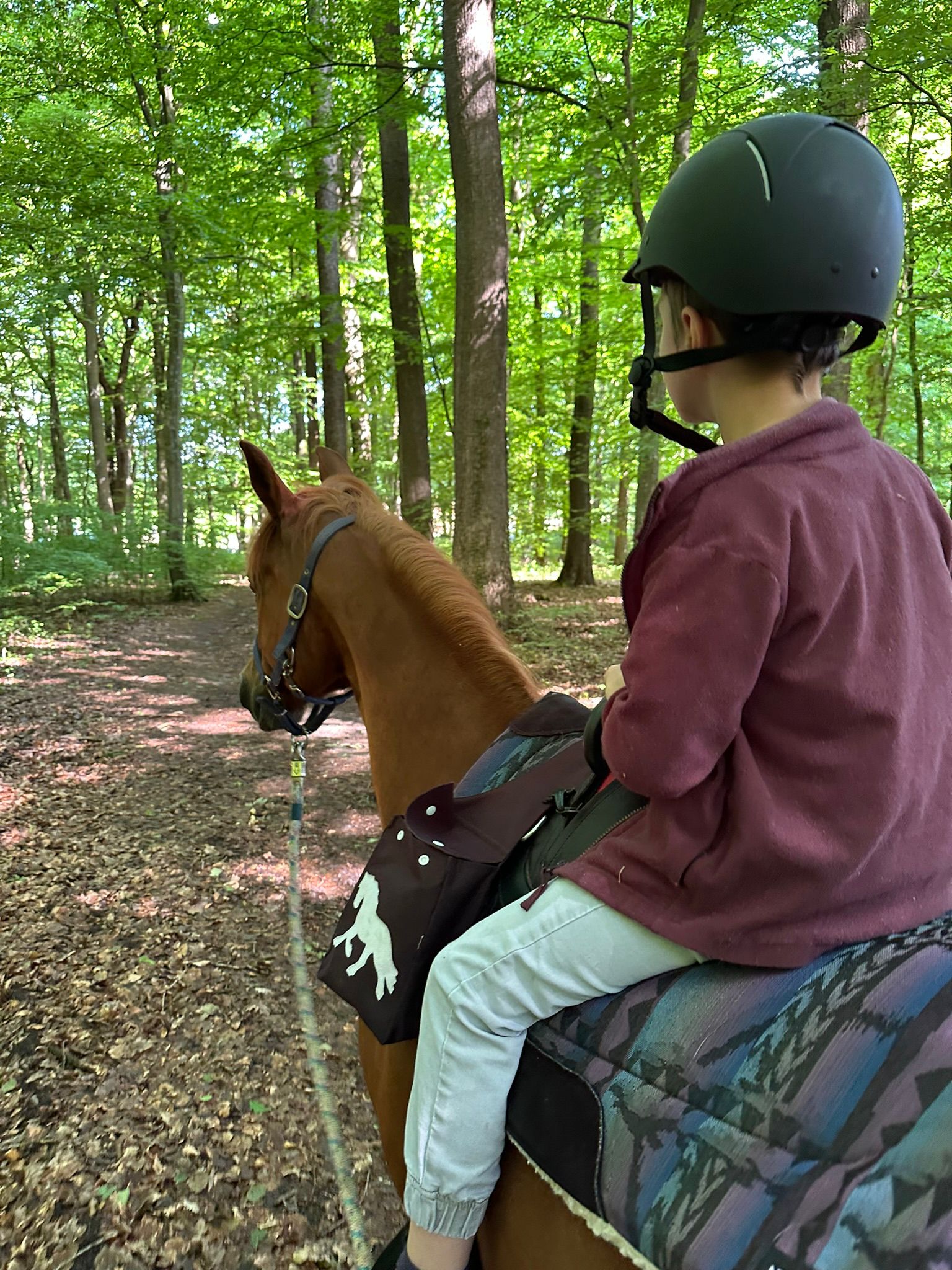 Reiten im Wald