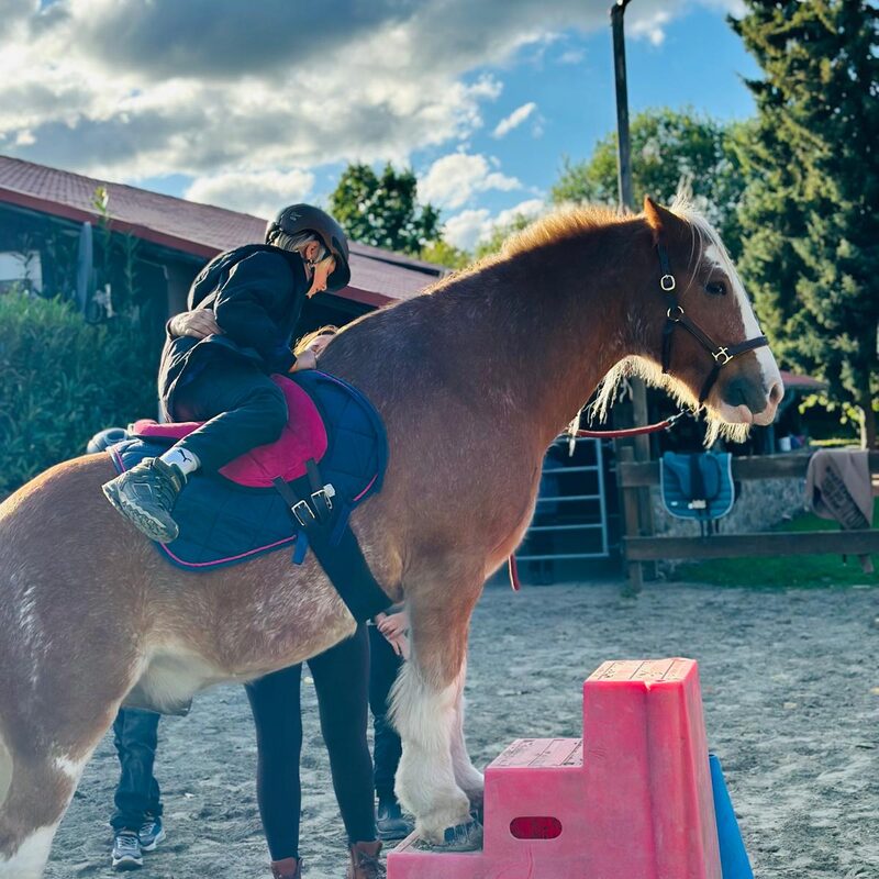 Sammy und Lino