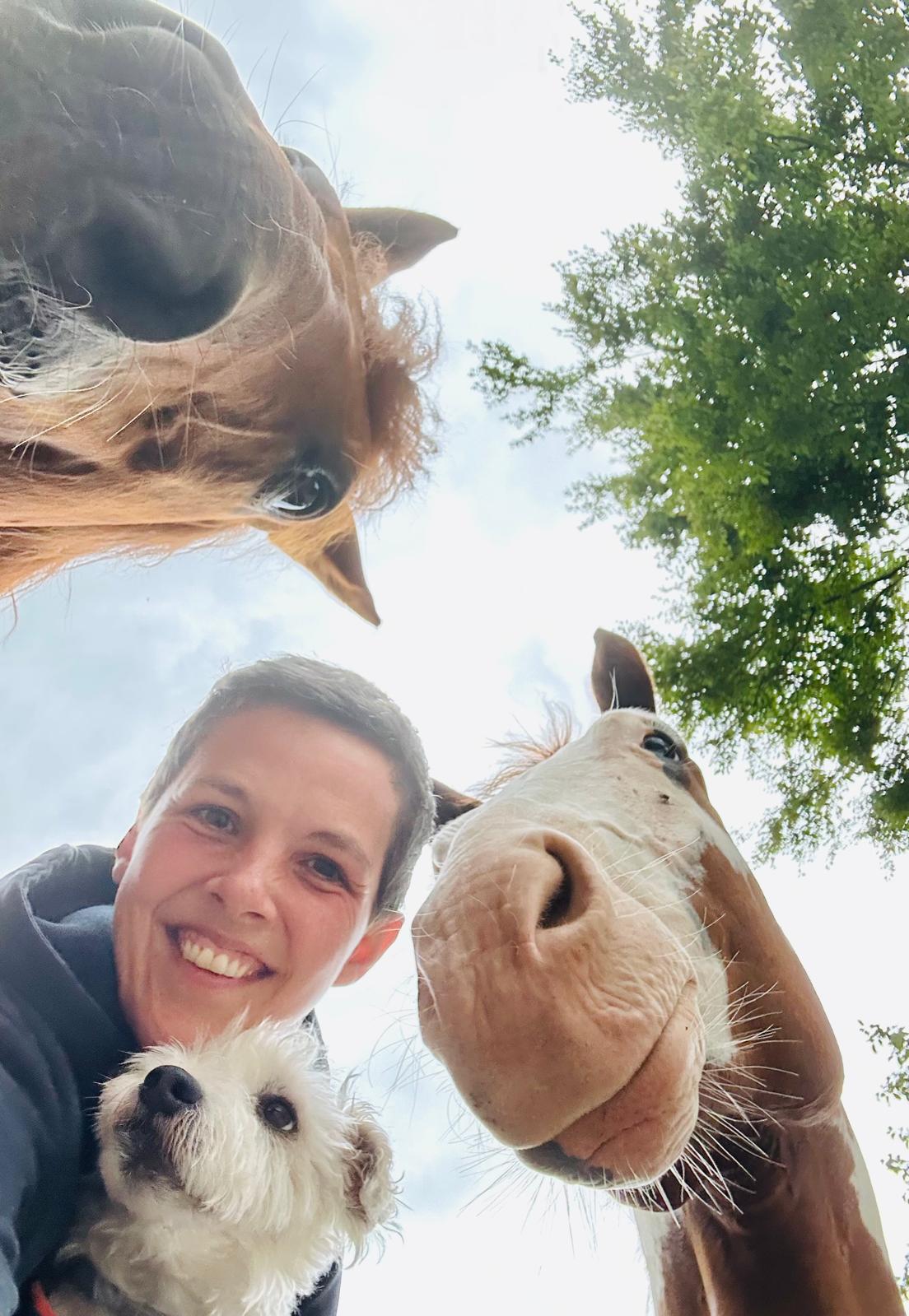 Romy mit Holly, Olaf und Watson