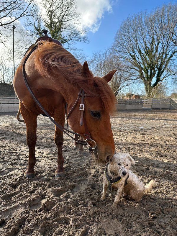 Freundschaft